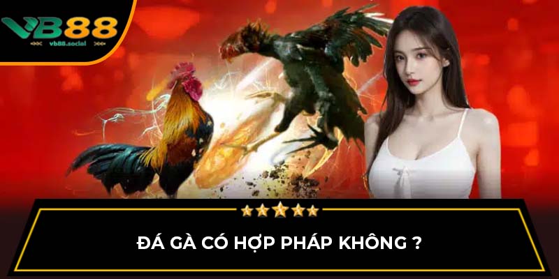 Đá gà có hợp pháp không ?