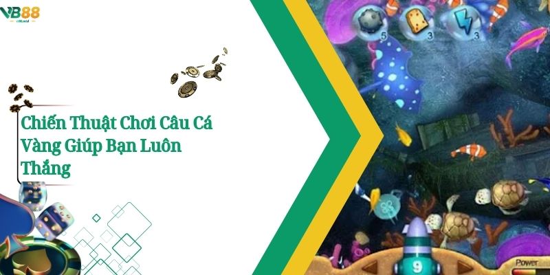 Chiến Thuật Chơi Câu Cá Vàng Giúp Bạn Luôn Thắng